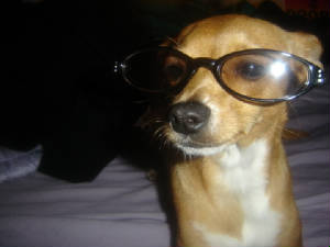 princessglasses.jpg