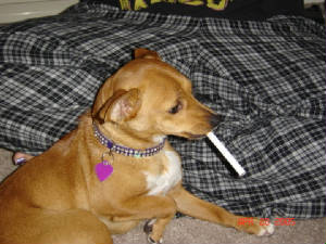 smoking.jpg